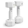 Everlast Wii Weights (Dumbells)